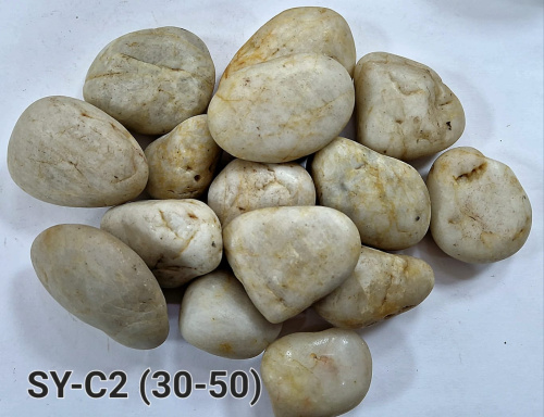 SY-C2
