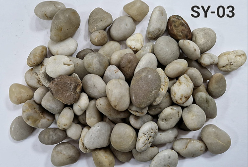 SY 03