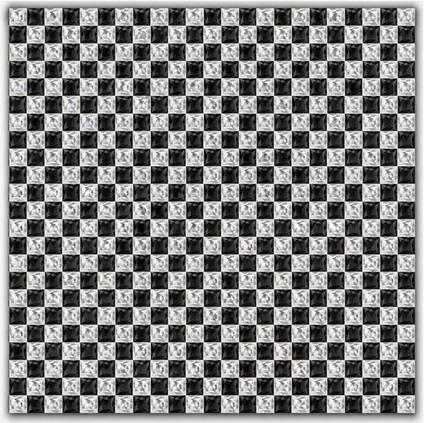 Silver+Black-10(2)