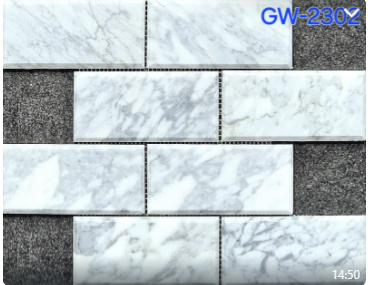 GW-2302 July-2024