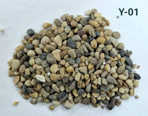 Y-01
