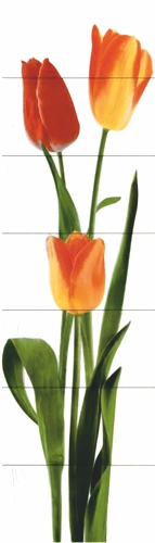 панно pf_027__2100х600