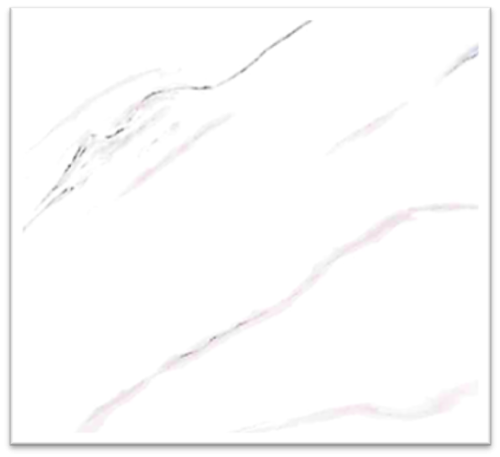 819c