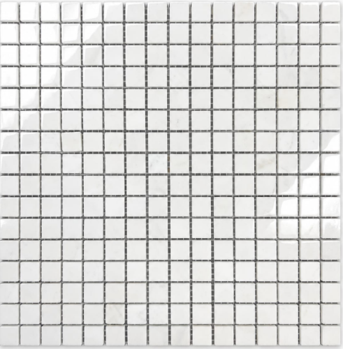 White P 2026