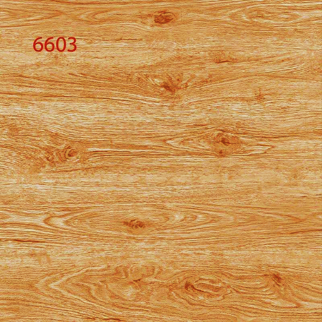 6603
