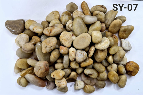 SY 07