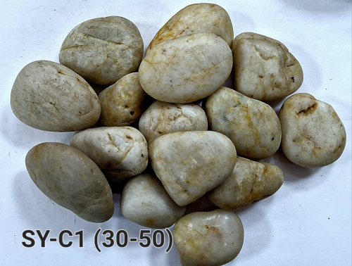 SY-C1 polished